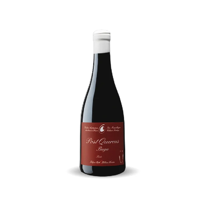 Filipa Pato - Post Quercus