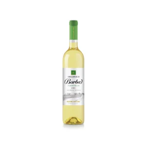 Visconde Borba Branco