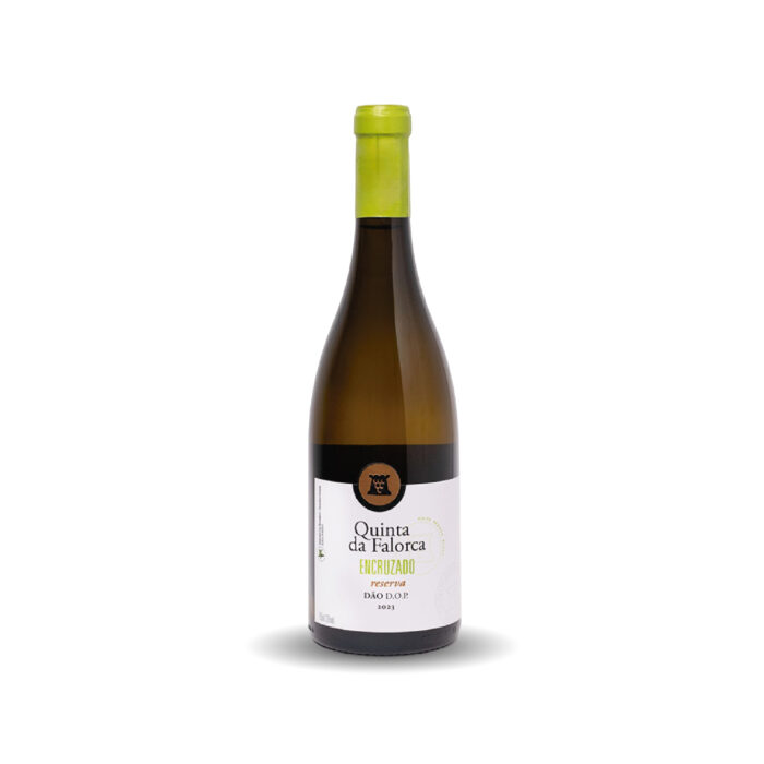 PDV - Quinta da Falorca - Branco - Encruzado Reserva 2023